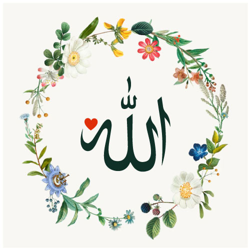 Allah name in the circle flowers bouget Whatsapp and instagram dp for profile