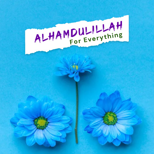 Blue flower Alhamdulillah for Everything Dp 