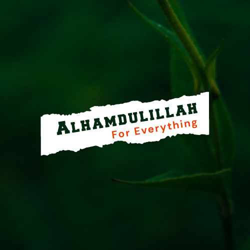 Green Background Alhamdulillah for Everything Dp for whatsapp