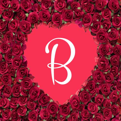 Flower heart background with B name dp image
