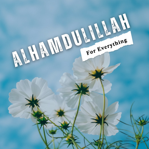 Alhamdulillah for everything dp of while flowers on blue background