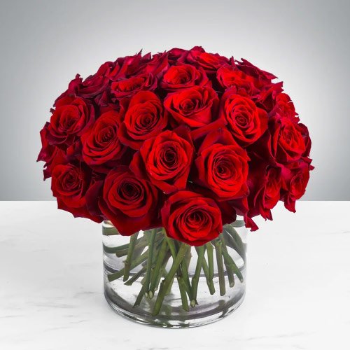 Rose Dp For Whatsapp - bouquet red rose