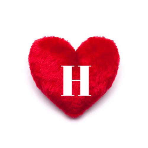 H love dp - cushion heart