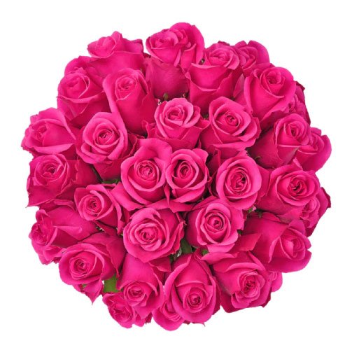 Beautiful Flower Dp- deep pink rose bouquet