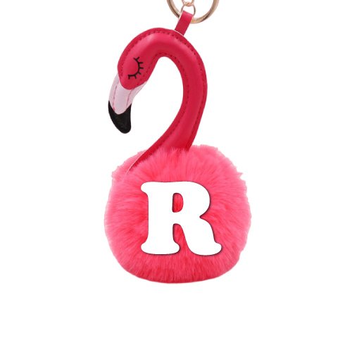 R name dp - duck keychain