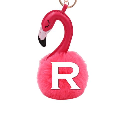 R name photo - holding key R