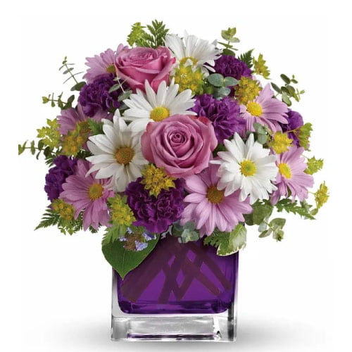 Beautiful Flower Dp - purple daisy rose