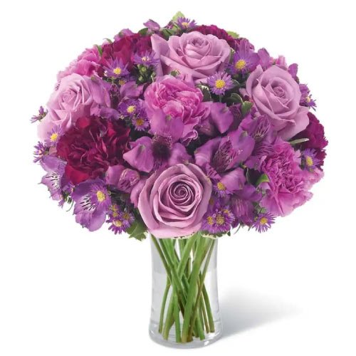 Rose Dp For Whatsapp - purple deep purple flower bouquet