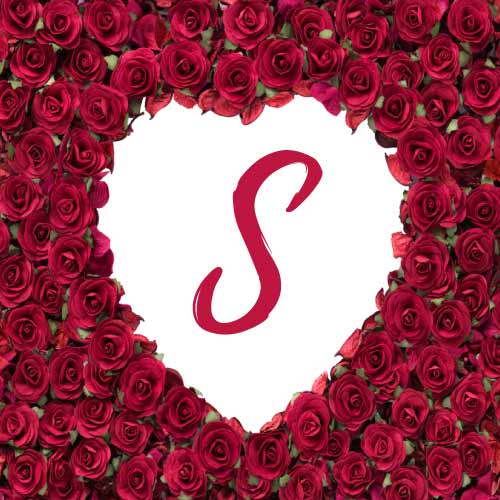 S love Dp - Roses with Heart background