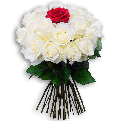 Rose Dp For Whatsapp - white red rose bouquet