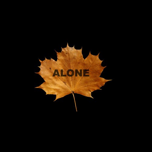 best DP For WhatsApp - alone dry leaf