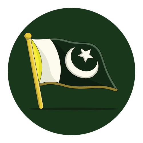 Green Pakistan Flag dp