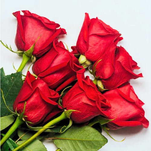 Rose Dp - rose bouquet pic