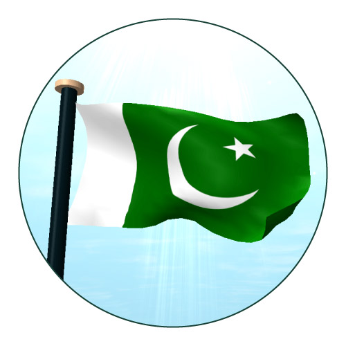 shining Pakistan Flag Dp