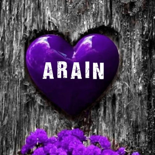 Arain dp - 3d purple heart purple rose photo