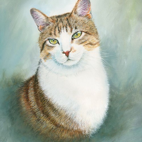 Cat Dp For Whatsapp - beautiful painting cat