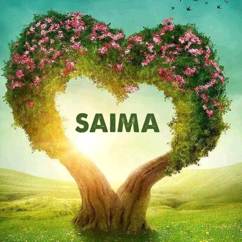Saima Dp - beautiful tree heart