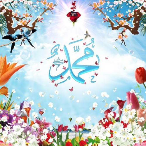 Muhammad Dp - flower background