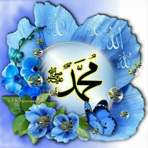 Muhammad Dp - glowing flower