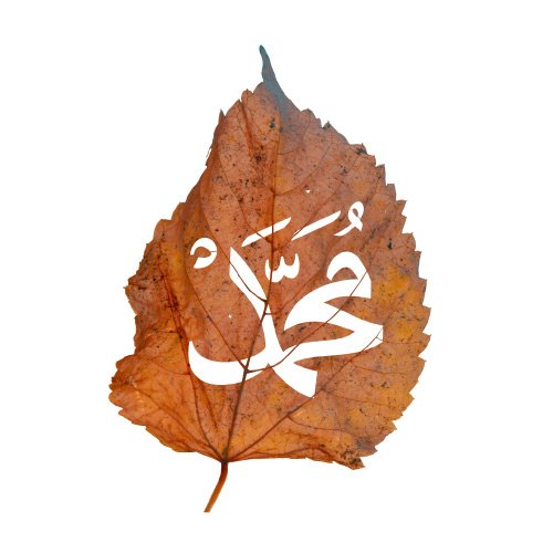 Muhammad Dp - nice leaf