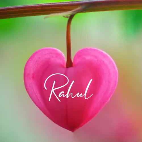 Rahul Dp - pink heart photo