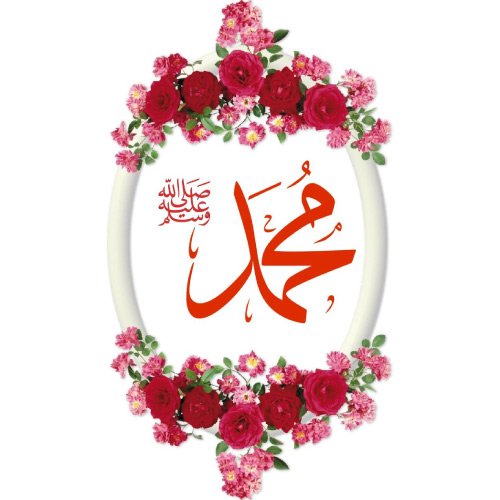Muhammad Dp - red rose pic