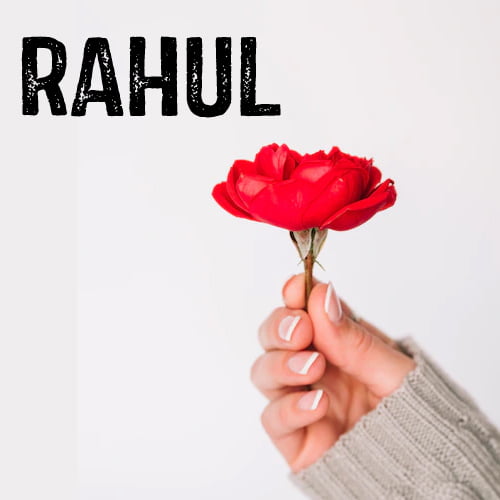 Rahul Dp - red rose pic