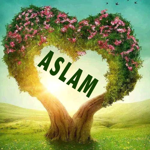 Aslam Name wallpaper - heart shape tree