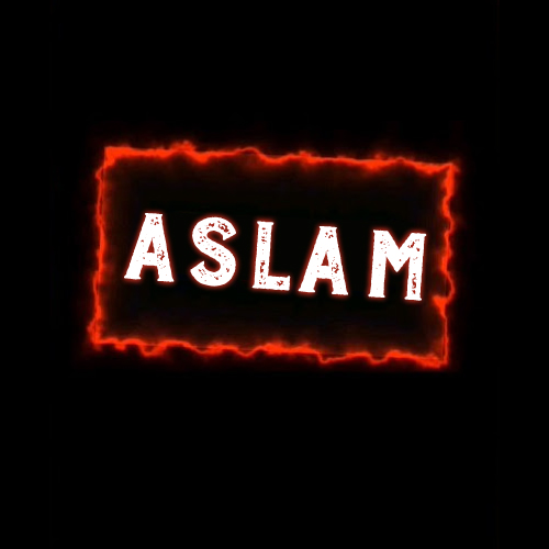 Aslam Name Pic - red outline box