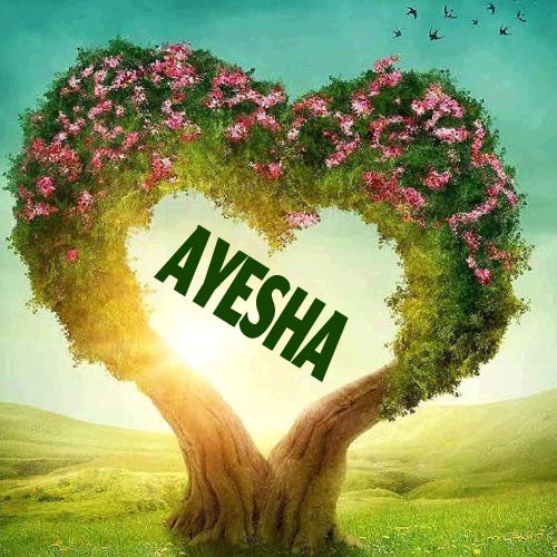Ayesha Name Dp - heart tree