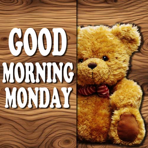 Good Morning Monday Images - beautiful bear white color text photo