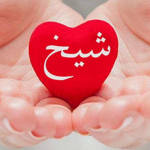 Sheikh Cast Urdu Dp - beautiful lady hand heart photo