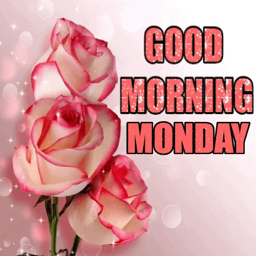Good Morning Monday Images - beautiful red skin color rose photo