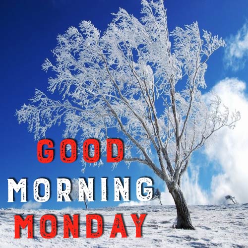 Good Morning Monday Images - beautiful ice tree pic white color text