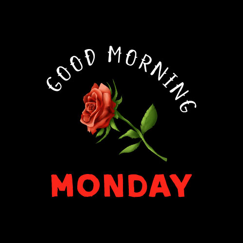 Good Morning Monday Images - black color background white color red color text flower pic
