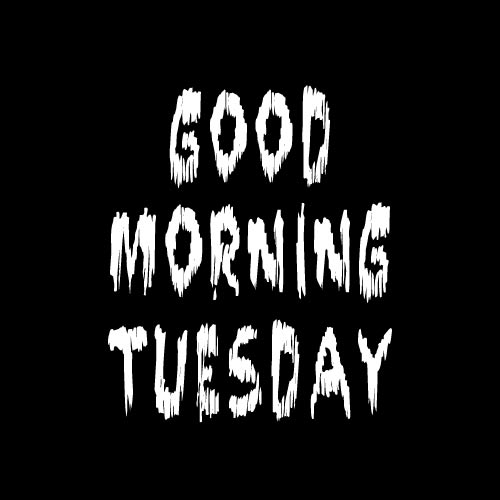 Good morning Tuesday Wishes - white text photo