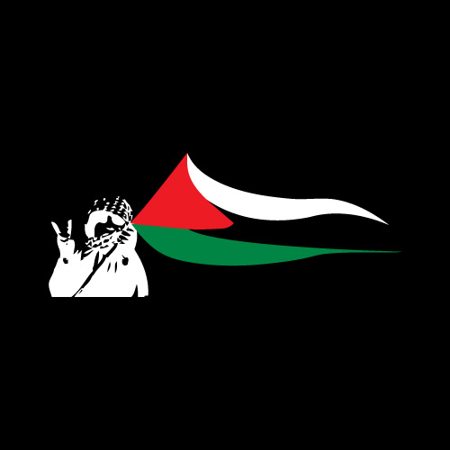 Palestine Dp - boy hand flag photo