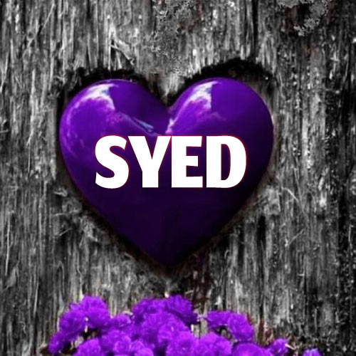 Syed Dp - 3d purple heart photo