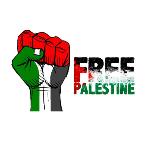 Palestine Dp - hand flag image