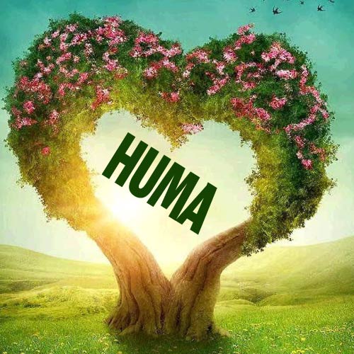 Huma Name DP - heart tree