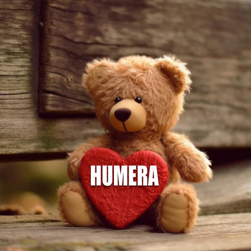 Humera Name Dp - bear with red heart