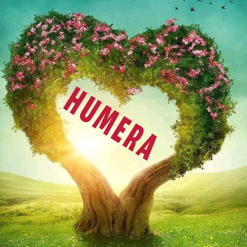 Humera Name Dp - tree heart