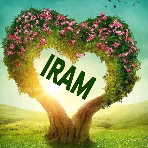 Iram Name DP - heart tree
