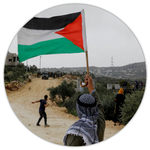 Palestine Dp - man hand flag circle pic