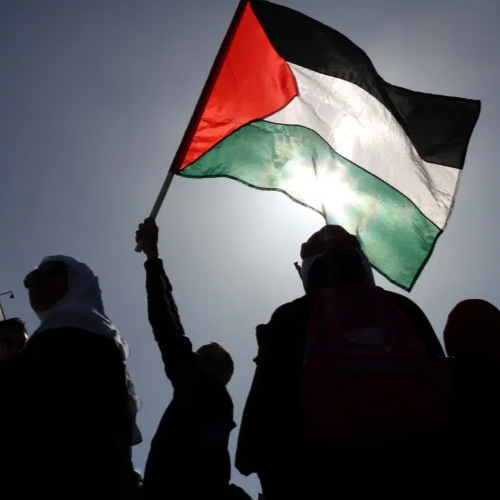 Palestine Dp - man hand flag
