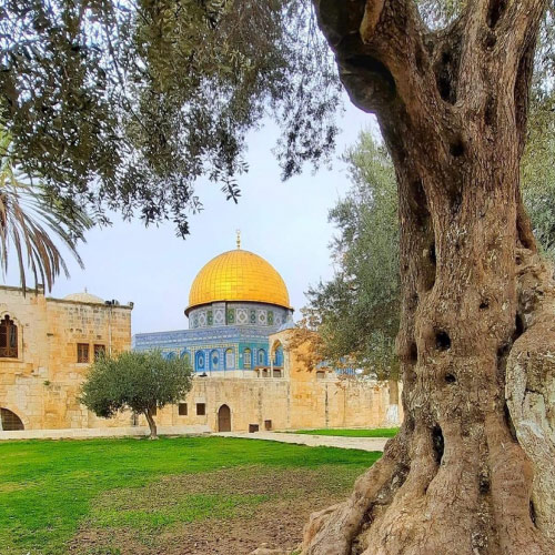 Masjid Aqsa Dp - park view