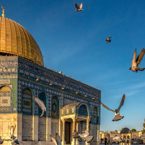Masjid Aqsa Dp - pigeon kabouter 