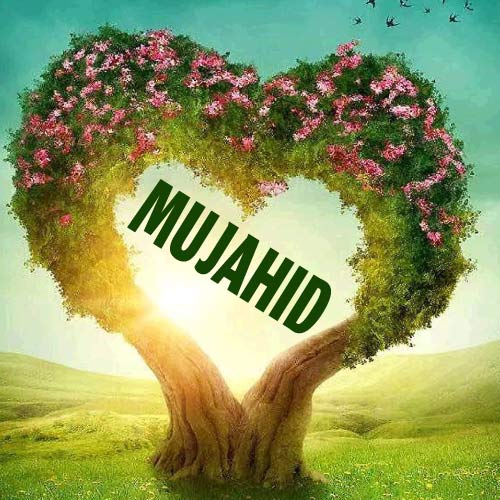 Mujahid Name Dp - heart tree