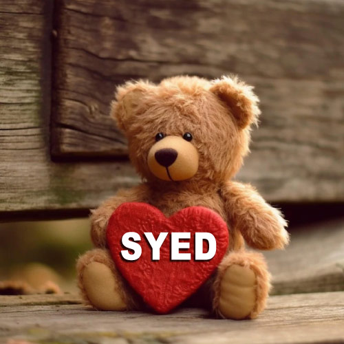 Syed Dp - 3d heart in bear hand