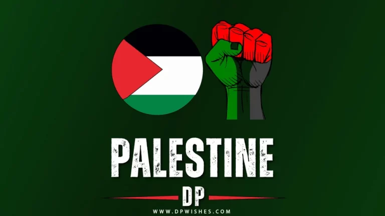Palestine Dp Pictures For Profile And Status